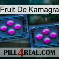 Kamagra Fruit 03